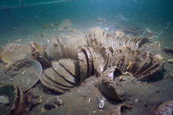Celadon artifacts are discovered at sea off the coast of Mado Island, near South Chungcheong's Taean. [KOREA HERITAGE SERVICE]