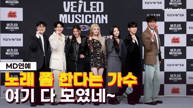 '베일드 뮤지션' / 마이데일리