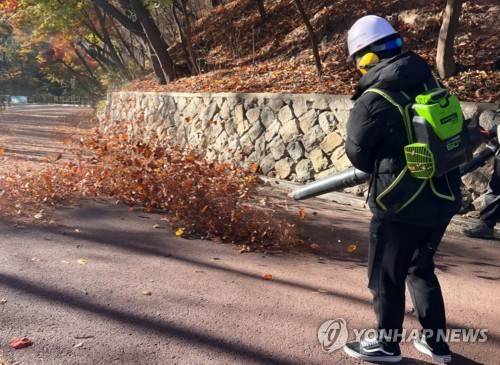 바람아 불어라 (서울=연합뉴스) 서윤호 인턴기자 = 지난 10일 오전 서울 남산공원에서 송풍기를 이용해 쌓인 낙엽을 밀어내고 있다. 2025.11.12