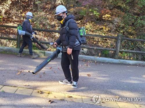 청소할 곳을 찾아 (서울=연합뉴스) 서윤호 인턴기자 = 지난 10일 오전 서울 남산공원에서 송풍기를 이용해 낙엽을 청소 중이다. 2025.11.12