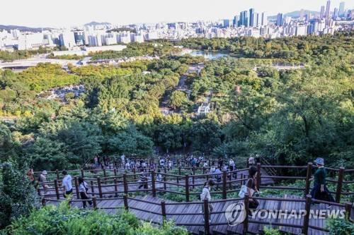 하늘공원으로 올라가는 291개의 '하늘 계단' [사진/백승렬 기자]