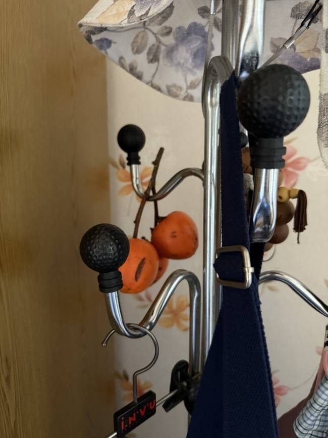 11월의 감은 아직 땐땐해서 떫은 맛만 난다. /김윤지