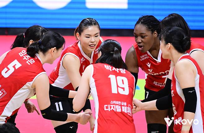 제공 | 한국배구연맹