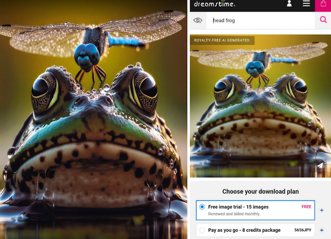 일본 사진경연대회 '제42회 사이타마현 사진 살롱'에 '내 머리야!'(俺の頭だぞ！)라는 이름으로 출품된 이미지(왼쪽)와 해외 이미지 사이트에서 판매되는 AI 생성 이미지. 사진=아사히신문사/전일본 사진연맹 사이타마현 본부