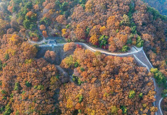 영남 지방 산성 중에서 가장 큰 규모를 자랑하는 가야 시대 독용산성. 왼쪽에 동문루가 복원돼 있다.