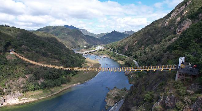 월영산과 부엉산 사이의 금강 물길 위를 건너가는 월영산 출렁다리. 다리 위에서는 산과 강이 반반씩 나눠 가진 풍경을 볼 수 있다.