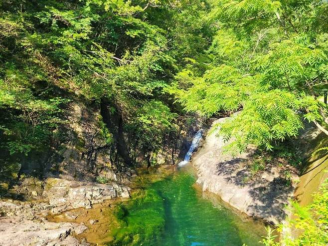 담양군이 10월 1일부터 가마골생태공원을 무료로 개방한다.