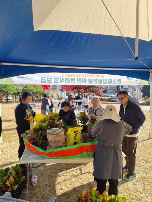 ▲행사장에서 참가자들이 본인이 가져온 화분에 크로톤을 심고 있다 ⓒ영양군청