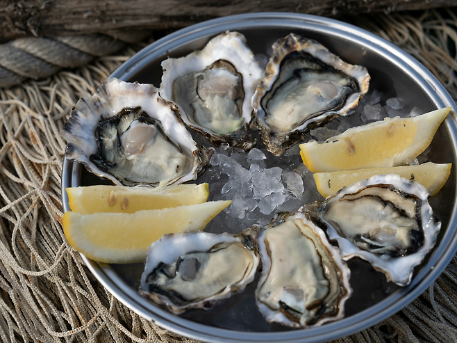 신선해보이는 생굴과 어울리는 레몬 조각