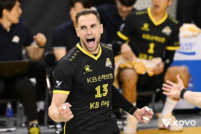 KB손해보험 비예나