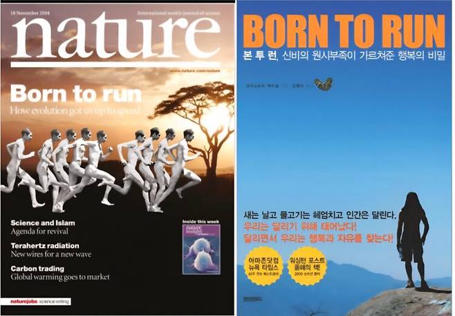 '달리게끔 태어났다(Born to Run)'를 제목으로 앉힌 학술지 네이처 표지(사진 왼쪽)와 이와 동일한 제목의 책(사진 오른쪽). 네이처가 표지 논문으로 소개한 연구는 인체가 오래달리기에 적합한 특징으로 26가지를 꼽았다. 오른쪽 책은 장거리 달리기에 탁월한 멕시코 타라후마라족을 소개했다. 사진=인터넷 캡처