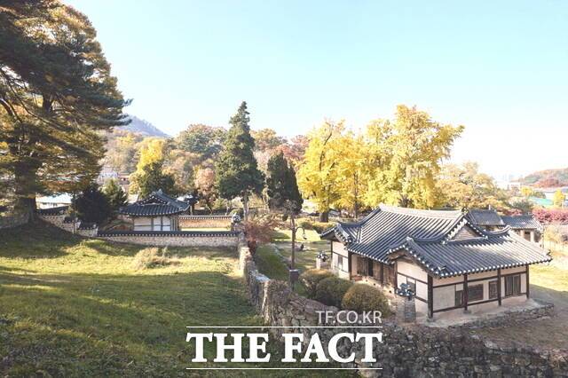 650년 은행나무와 고택이 함께 숨 쉬는 '맹씨행단'의 가을 풍경. /아산시