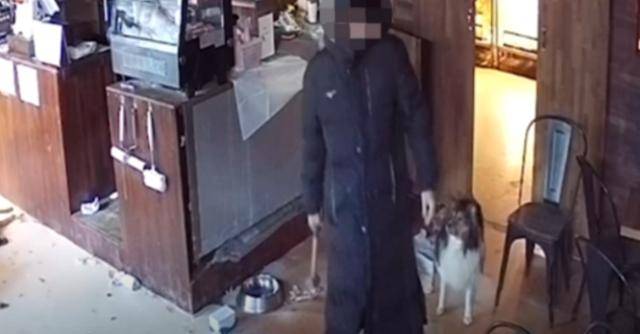 2022년 1월 서울 마포구의 동물카페 주인 A씨가 키우던 강아지를 망치로 폭행하는 모습. 동물자유연대 페이스북