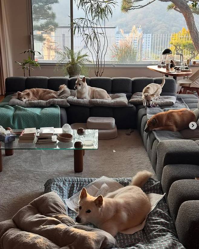 이상순 인스타그램