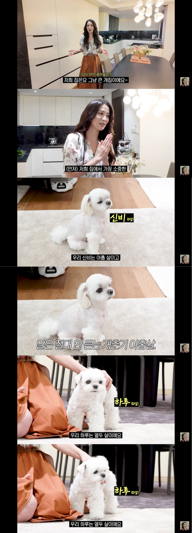 '매일 맥주 마시면서 52kg 유지하는 반백살 한고은 근황 (청담동 집, 남편, 30년 차 견주의 삶)' @유튜브 고은언니 한고은 캡처