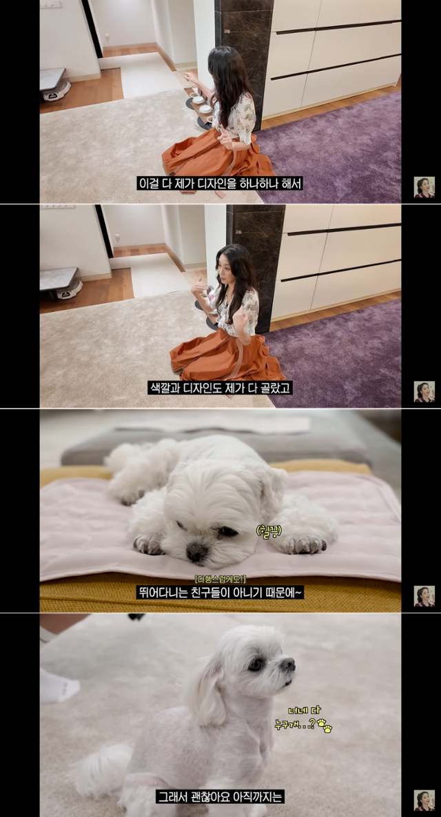 '매일 맥주 마시면서 52kg 유지하는 반백살 한고은 근황 (청담동 집, 남편, 30년 차 견주의 삶)' @유튜브 고은언니 한고은 캡처