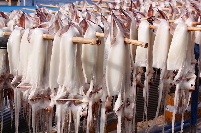 주머니 사정이 넉넉지 않아도 어렵지 않게 사먹을 수 있었던 마른 오징어. 기후 변화 등의 영향으로 비싼 몸값이 되셨다.