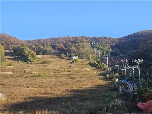 잡풀만 무성하고 양지리조트 스키장 [촬영 = 김광호 기자]