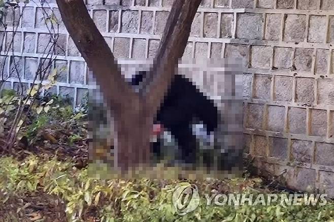 경복궁 돌담길 아래에서 용변 본 남성 [SNS 캡처]