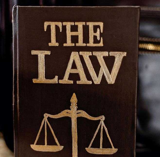 THE LAW