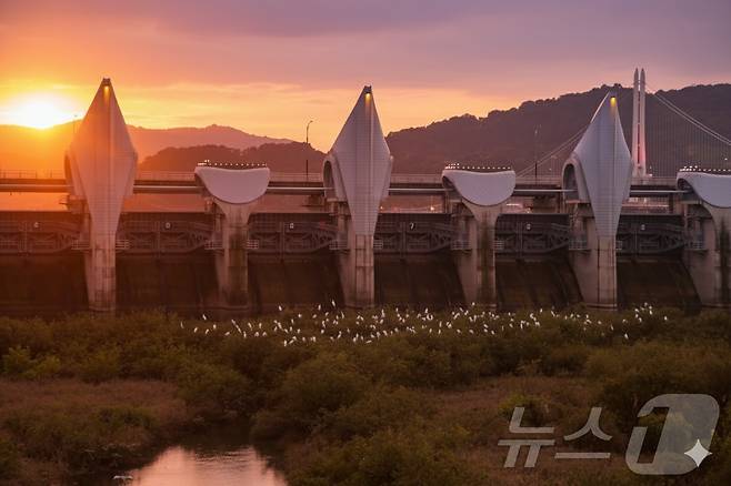 황새서식지인 예산의 예당호(한국관광공사 제공)