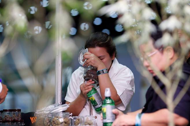 국제 대마 엑스포에서 한 방문객이 대마 냄새를 맡고 있다. /연합뉴스