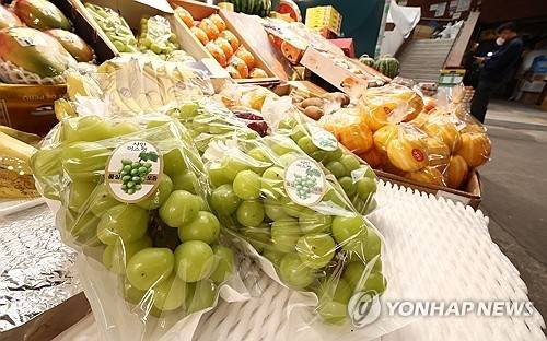 ▲ 샤인머스캣 [연합뉴스 자료사진]