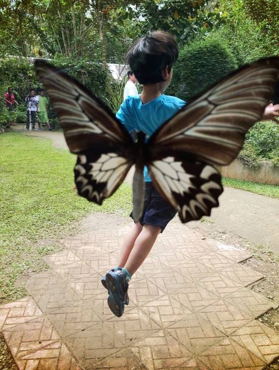 사진 = 미다스북스