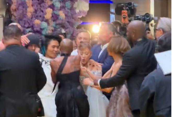 가수 겸 배우 아리아나 그란데가 시사회 도중 한 남성에게 습격당했다. 사진은 가수 겸 배우 아리아나 그란데가 영화 '위키드: 포 굿' 시사회 도중 괴한 습격을 당하는 모습. /사진=SNS 캡처