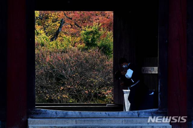 [양산=뉴시스]차용현 기자 = 주말이자 시월의 마지막 날인 31일 오전 경남 양산시 통도사 경내에 단풍이 울긋불긋 물들어 있다.  2020.10.31.  con@newsis.com