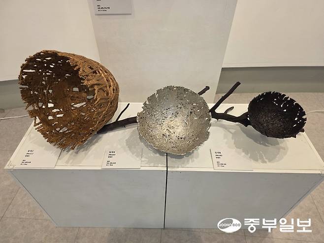 양점모 작가의 작품 '둥지'. 이준도기자