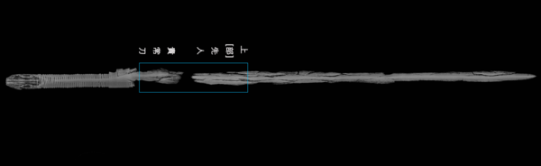 상감명문대도 X선 사진. /국립김해박물관