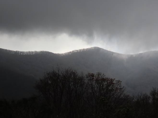 수묵화 처럼 아름다운 알봉둘레길.