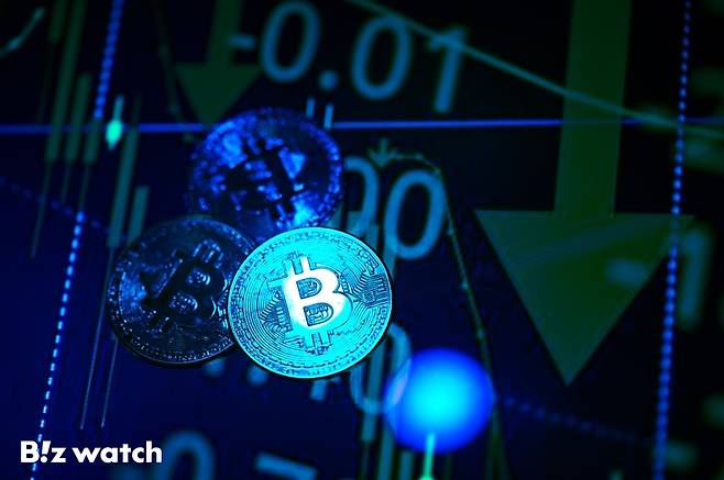 비트코인 주화/사진=이명근 기자 qwe123@