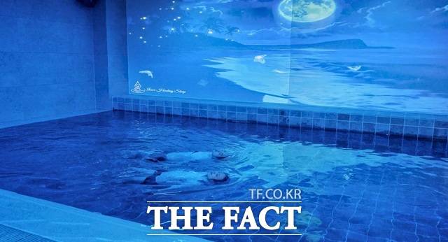 태안해양치유센터 1층 수중 명상공간 와츠풀 모습. /태안군