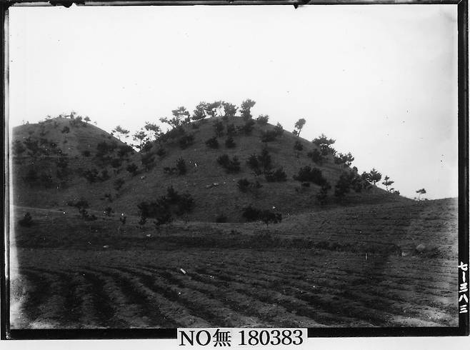 창녕 교동 11호분 전경을 촬영한 유리건판 자료  [국립중앙박물관 제공. 재판매 및 DB 금지]