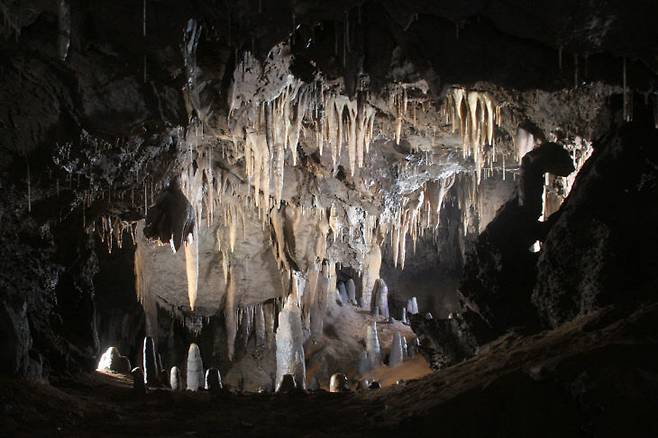 약 4억 5000만 년 전에 형성된 온달동굴 석순과 종유석. (단양군 제공)