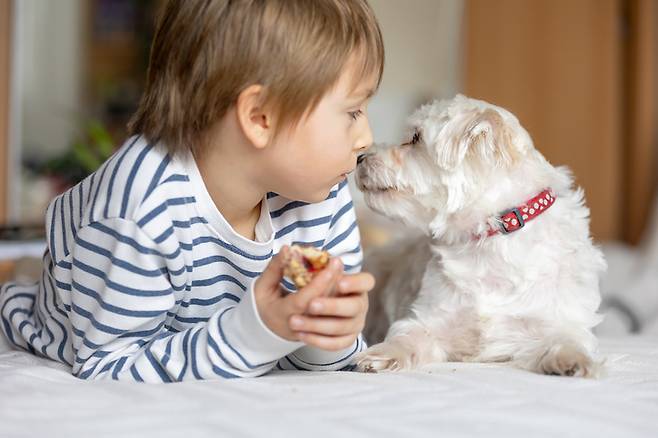 강아지가 어린아이의 정서 안정에 도움을 준다는 일반적인 인식과 다르게, 실제로는 큰 효과가 없다는 연구 결과가 나왔다. 사진=게티이미지뱅크