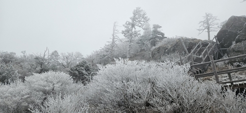 눈 내린 지리산 [지리산국립공원 경남사무소 제공]