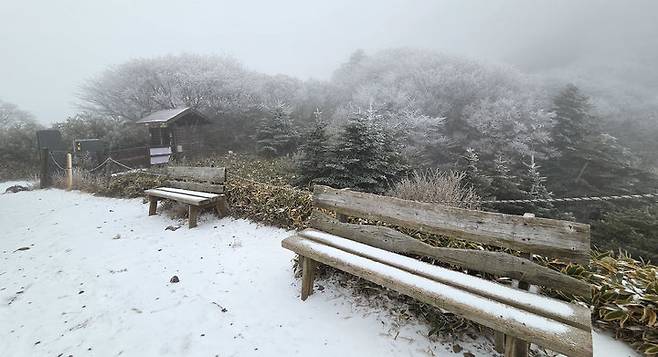 [제주=뉴시스] 올 가을 들어 가장 추운 날씨를 보인 18일 오전 제주 한라산 관음사 탐방 코스에 첫 눈이 쌓여 있다. (사진=독자 김경미씨 제공) 2025.11.18. photo@newsis.com *재판매 및 DB 금지