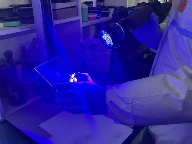 19일 대구경찰청 과학수사계 한 대원이 광원을 이용해 지문 등 증거물을 찾고 있다.