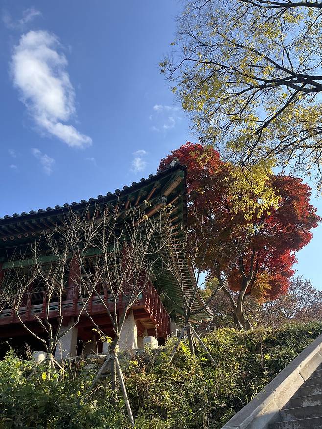 1763452651234.jpg 매우 주관적인 전주 1박2일 먹부림 여행