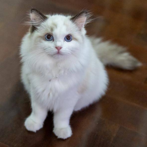 게티이미지뱅크