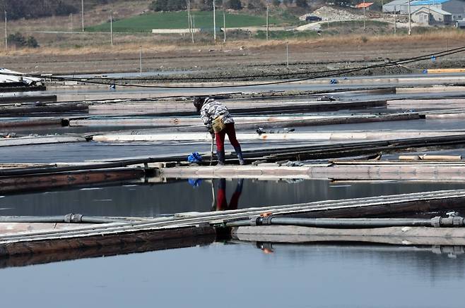 사진은 기사와 무관. / 사진=연합뉴스