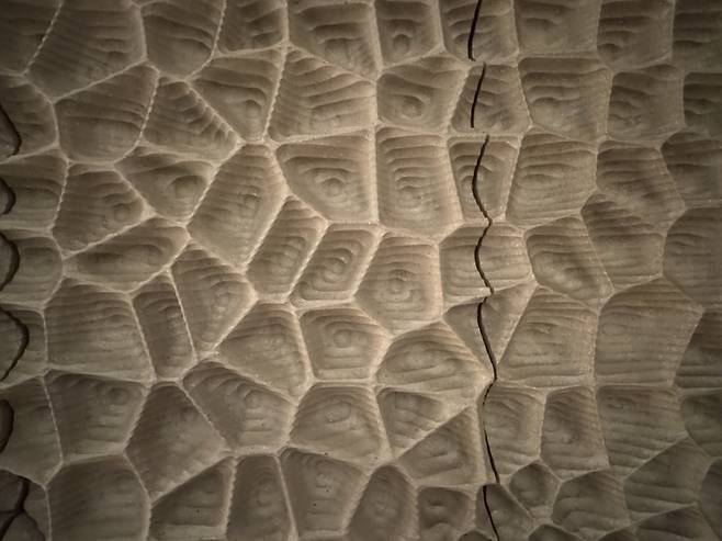 함부르크 엘브필하모니의 음향판 '화이트 스킨' / 사진. © 유혁준