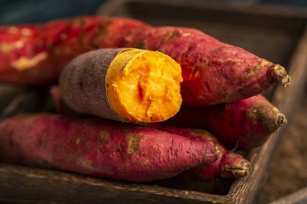 사진=게티이미지뱅크