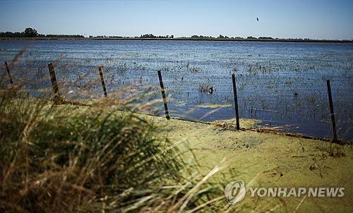 침수된 아르헨티나 농경지 [로이터=연합뉴스]