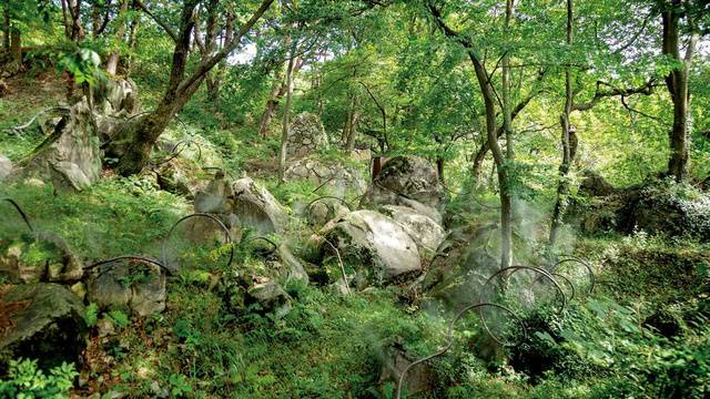 이끼 정원에 설치된 작품 ‘넝쿨처럼’. 습도를 조절하는 안개 분사 장치이자 예술 작품이다.
