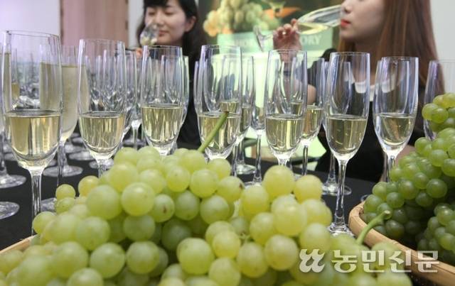 2016년 진행된 청수로 만든 화이트와인 평가회. 농민신문DB