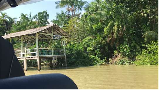 ▲콤보섬 어귀 풍경. ⓒ경희대학교 COP30 참가단